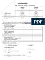 Plant Worksheet Practice