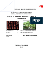 Frutales Nativos de La Amazonía Peruana