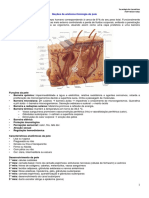 02 - Anátomo-Fisiologia Da Pele