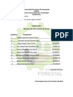 Resumen Patria Del Criollo