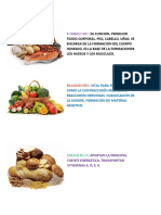 Nutrientes de Los Alimentos