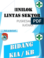 PP Minilok Lintas Sektor Gabungan