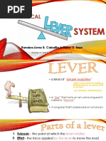 Anatomical Lever System