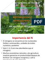 Metabolismo-nitrogenado.pptx