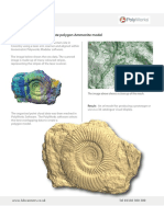 3D Scanners UK Scan & Create Polygon Ammonite Model