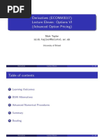 Derivatives (ECONM3017) Lecture Eleven: Options VI (Advanced Option Pricing)