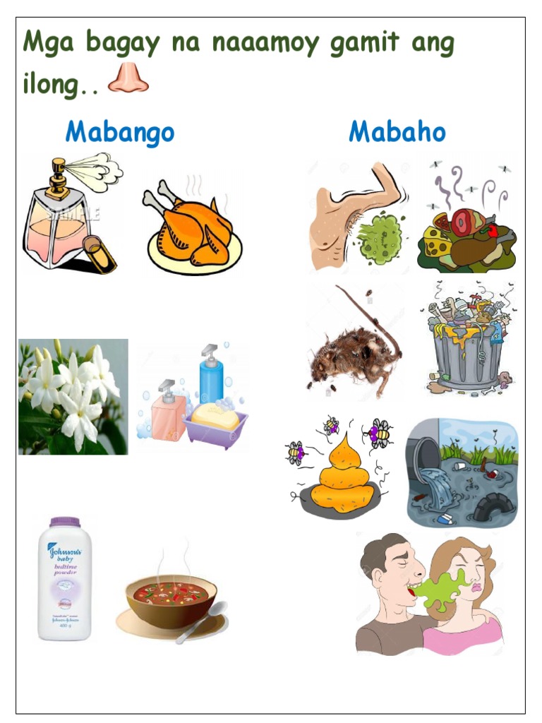 Mabango Mabaho Mga bagay na naaamoy gamit ang ilong.
