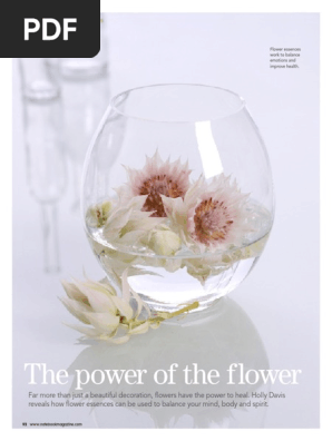 Flower Power