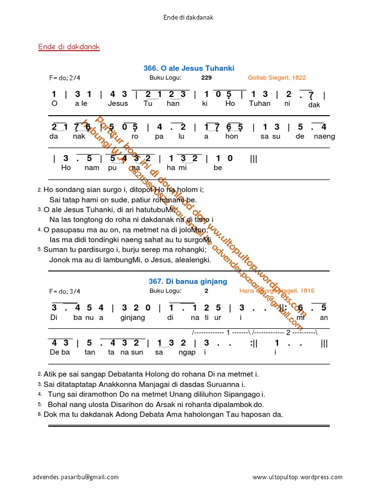 Ayollar mushuklarining yaqindan olingan videolari