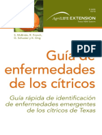 Guia-rapida-de-identificacion2.pdf