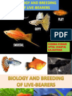 Biology & Breeding of Livebearers