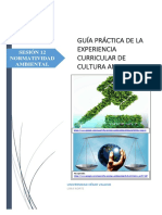 GUÍA_PRÁCTICA_N°12.docx