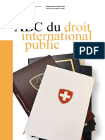 Droit International Public