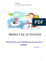 Proiect de Activitate