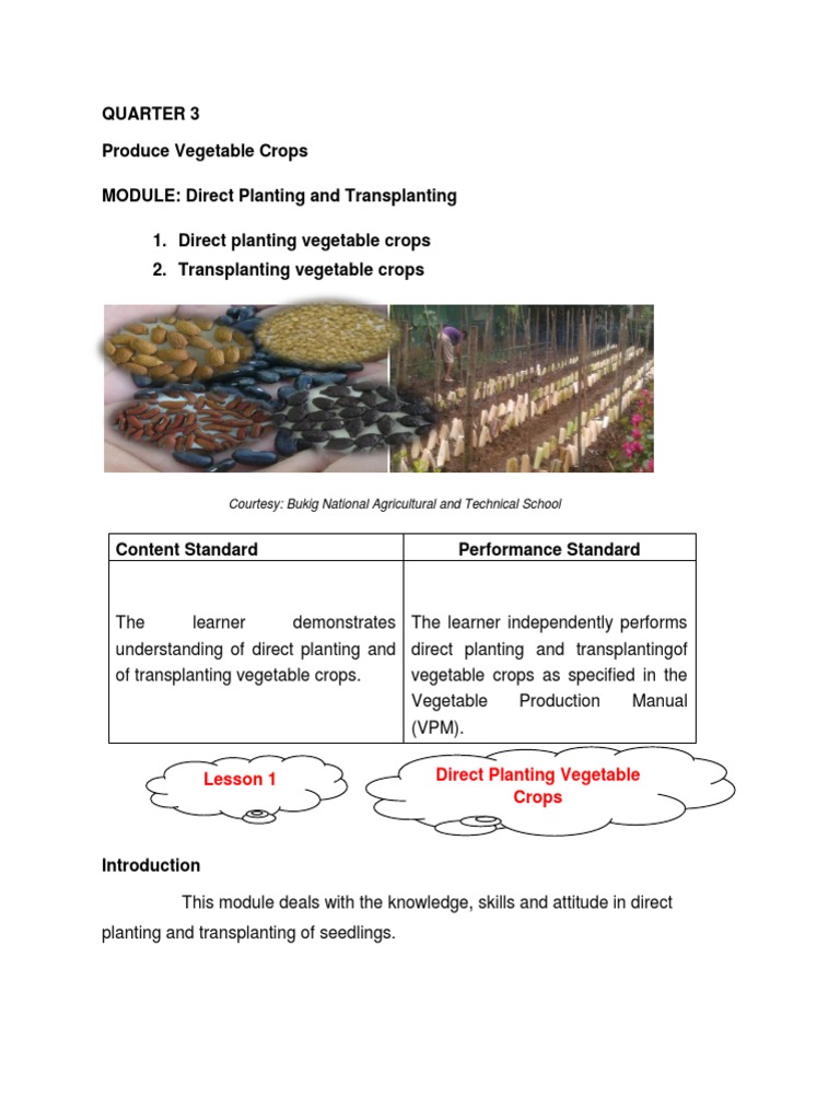 Module 4 Direct Planting And Transplanting Pdf Seed Sowing