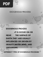 Exogenous Process