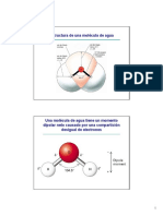 Estructura de Agua y PH