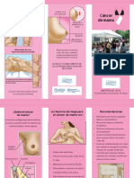 triptico-cancer- de-mama-convertido.docx