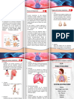 Triptico Respiración