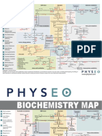 6 Biochemistry Map PDF
