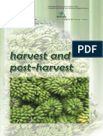 Harvest and Postharvest of Banana