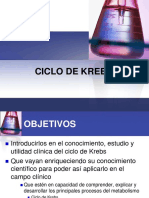 Ciclo de Kresbs