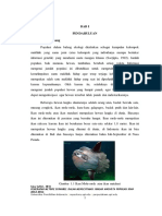 S MAT 1200114 Chapter1 PDF