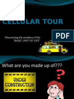 Cellular Tour: Discovering The Wonders of The "Basic Unit of Life"