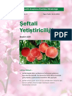 Şeftali Yetiştiriciliği PDF