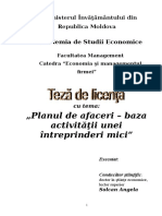 Plan de Afaceri - Baza Activitatii unei Intreprinderi Mici.doc