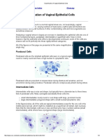 Classification of Vaginal Epithelial Cells