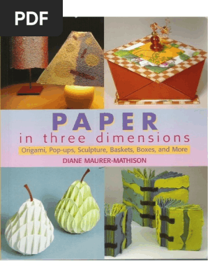 Diane Maurer-Mathison - Paper in Three Dimensions