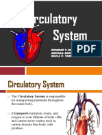 The Circulatory System: Ronmar T. Riňo Abegail Bersamin Maila C. Tamondong