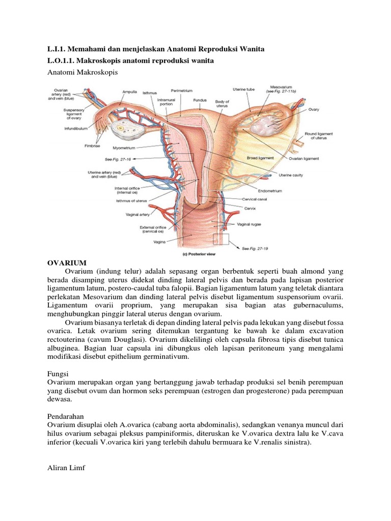 Sasbel Sk3 Pdf