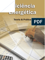 Eficiencia Energetica Teoria e Pratica