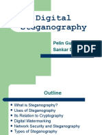 Digital Steganography: Pelin Gul Sankar Das