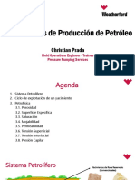 Fundamentos de Producción de Petróleo - Christian Prada