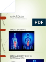 Clase 1 Anatomia M.L Rodriguez