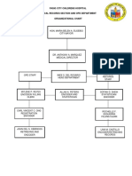 PCCH Organizational Chart