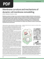 curvaturademembrana