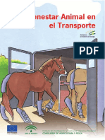 Bienestar Animal en El Transporte - BR