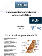 Funcionamiento Del Sistema Linfático