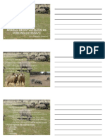 Modelo de Explotacion de Porcino Extensivo PDF