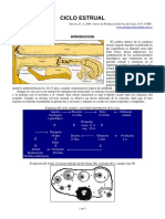 03-ciclo_estrual.pdf