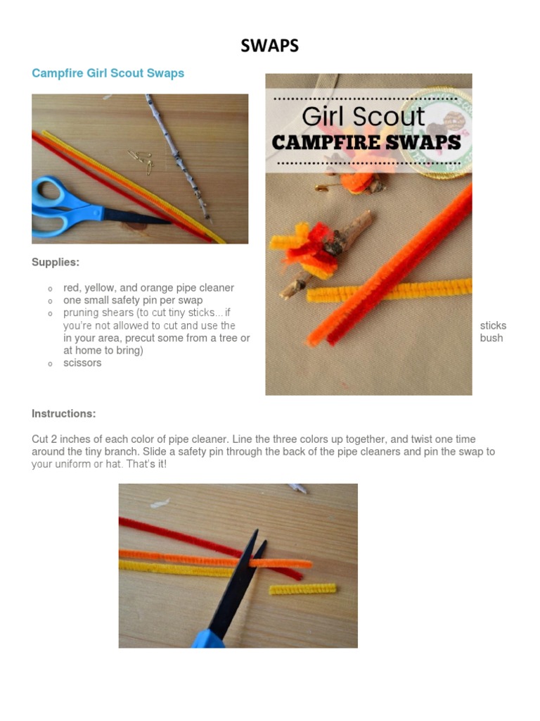 Girl Scout Swap Ideas | PDF