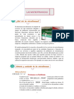 Microfinanzas Historia y Evolución PDF