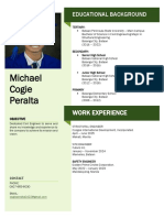 Michael Cogie Peralta: Work Experience