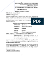 Modelo de Recurso de Apelación Contra Auto en Proceso Laboral - Autor José María Pacori Cari