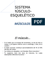 Musculo Esqueletico3