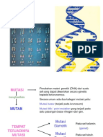 MUTASI GENETIK DAN PERUBAHAN STRUKTUR KROMOSOM